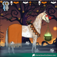 Horse Color:Liver Chestnut Tobiano Frame  and White Spotted Silver Buckskin Sabino Frame 