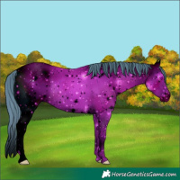 Horse Color:ERROR: UNKNOWN ANOMALY