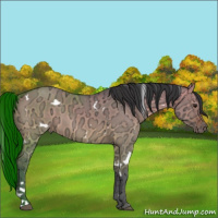 Horse Color:White Spotted Brown Ice Dun
