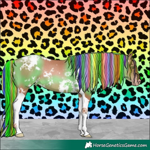Horse Color:Painted White Spotted Gold Champagne Tobiano Rabicano