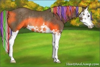 Horse Color:Painted Chocolate Palomino Splash Rabicano 