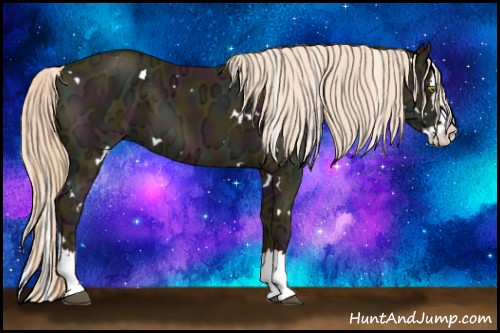 Horse Color:White Spotted Midnight Palomino Ice Splash 