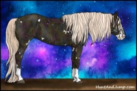 Horse Color:White Spotted Midnight Palomino Ice Splash 