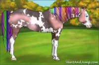 Horse Color:Painted White Spotted Liver Chestnut Splash Rabicano