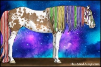 Horse Color:Painted White Spotted Chocolate Palomino Splash Rabicano