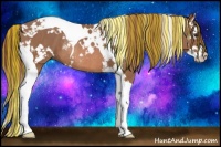 Horse Color:Painted White Spotted Chestnut Splash Tobiano Rabicano 