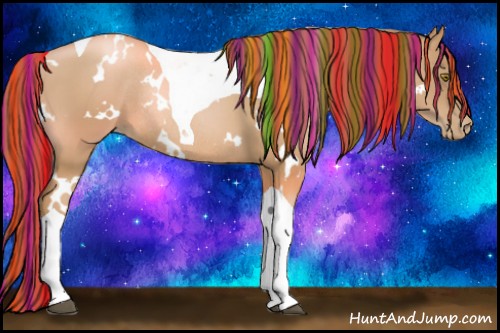 Horse Color:Painted White Spotted Chestnut Pearl Tobiano Rabicano 