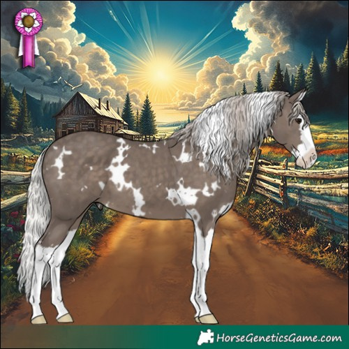 Horse Color:White Spotted Silver Black Splash 