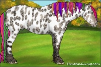 Horse Color:Painted White Spotted Amber Champagne Ice Dun Appaloosa 