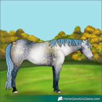 Horse Color:ERROR: UNKNOWN ANOMALY