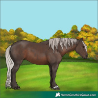 Horse Color:Silver Black 