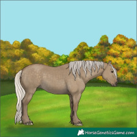 Horse Color:Silver Smoky Grullo 