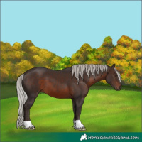 Horse Color:Silver Brown 