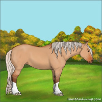 Horse Color:Silver Bay Dun