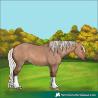 Horse Color:Silver Brown Dun