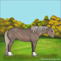 Horse Color:Silver Black 