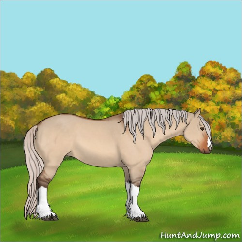 Horse Color:Silver Brown Dun