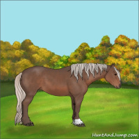 Horse Color:Silver Black