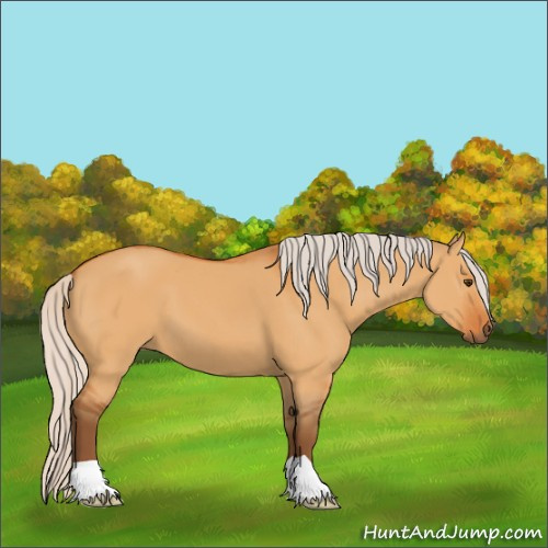 Horse Color:Silver Buckskin Dun 
