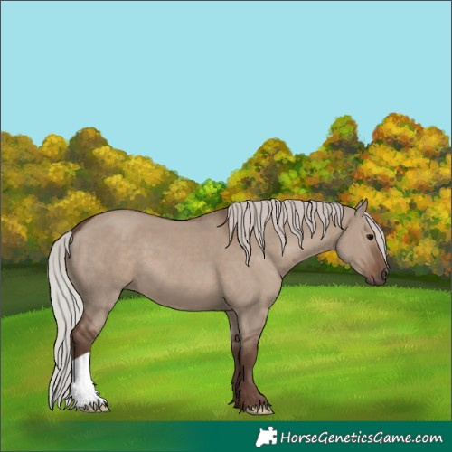 Horse Color:Silver Grullo