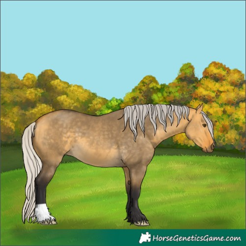 Horse Color:Silver Buckskin Dun