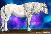 Horse Color:Plaid Silver Bay Dun Splash Tobiano Appaloosa Rabicano