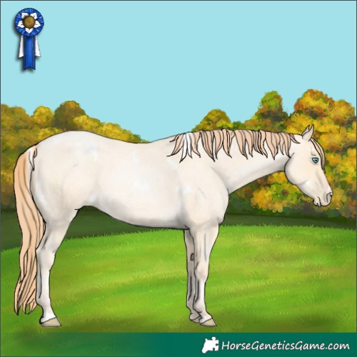 Horse Color:White Spotted Amber Cream Champagne Roan Pearl