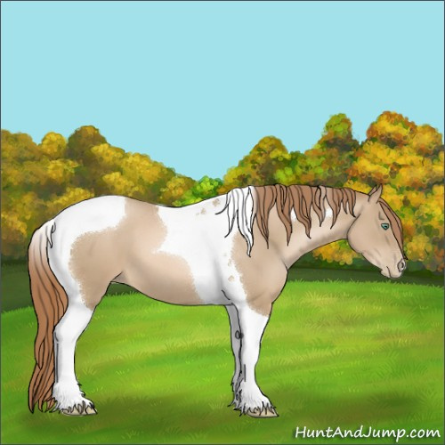Horse Color:Smoky Black Pearl Tobiano 