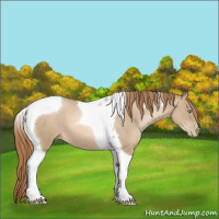 Horse Color:Smoky Black Pearl Tobiano 