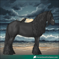 Horse Color:Black 