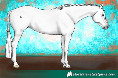 Horse Color:Gray White Spotted Bay Dun Sabino Rabicano