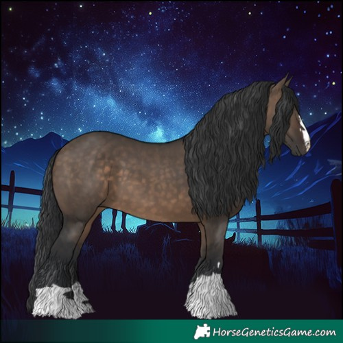 Horse Color:Brown Dun 