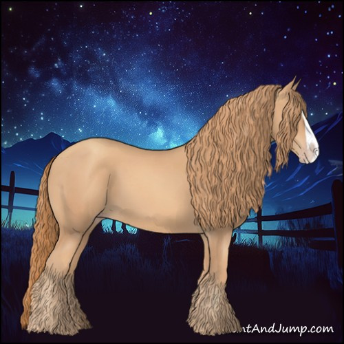 Horse Color:Gold Champagne Splash