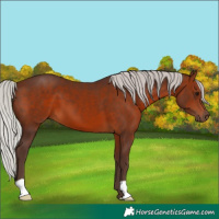 Horse Color:Silver Brown