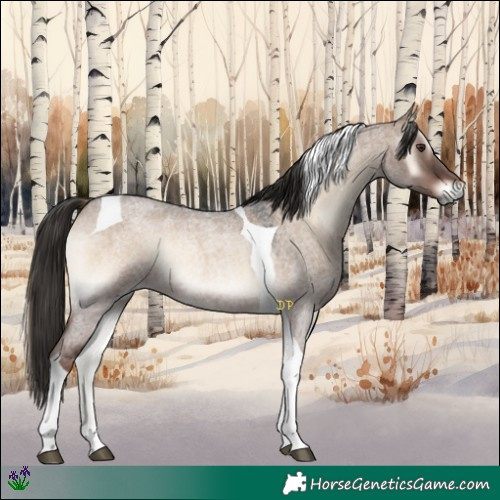 Horse Color:Liver Red Dun Roan Onyx Tobiano Rabicano 