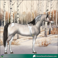 Horse Color:Liver Red Dun Roan Onyx Tobiano Rabicano 