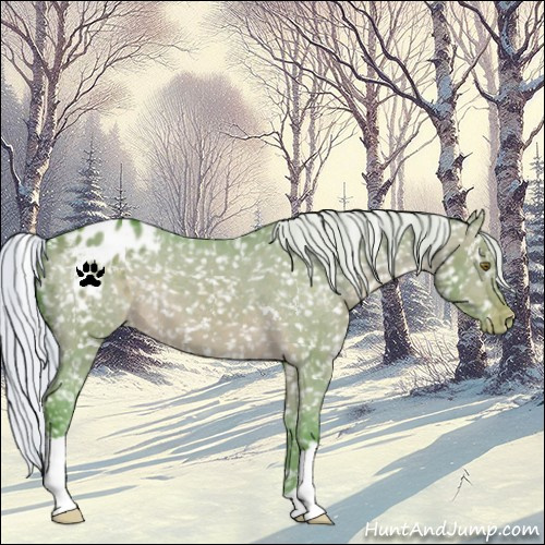 Horse Color:Watercolor Silver Brown Dun Blanket