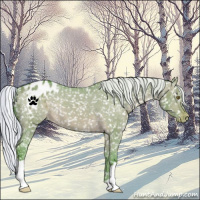 Horse Color:Watercolor Silver Brown Dun Appaloosa 