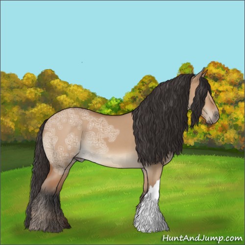 Horse Color:Bay Ice Dun 