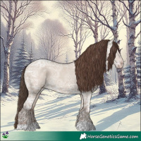 Horse Color:Classic Champagne Ice Dun 