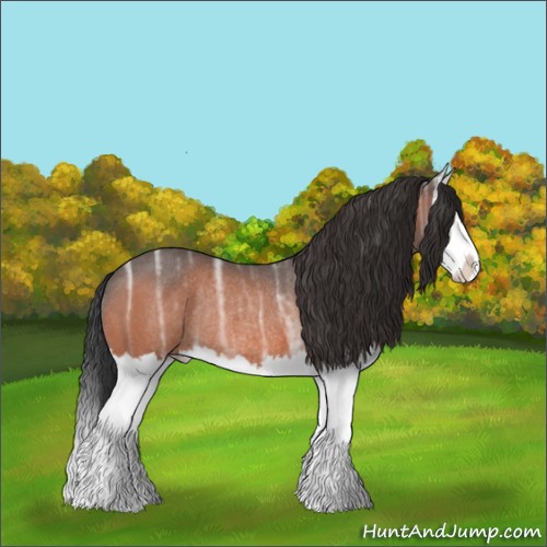 Horse Color:Bay Ice Splash Rabicano 