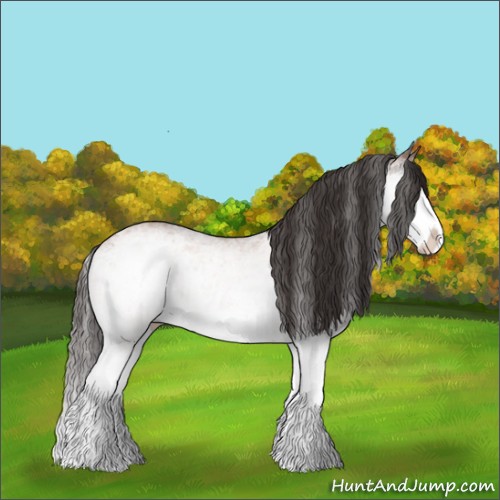 Horse Color:White Spotted Bay Ice Splash 