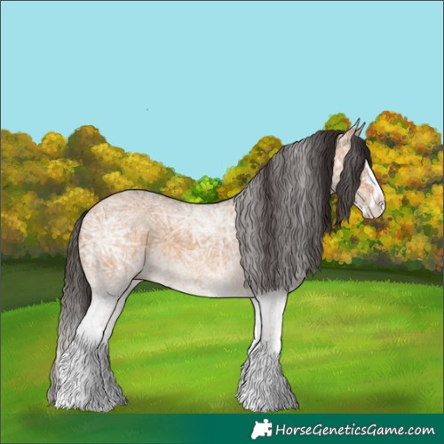 Horse Color:White Spotted Bay Ice Dun Splash 