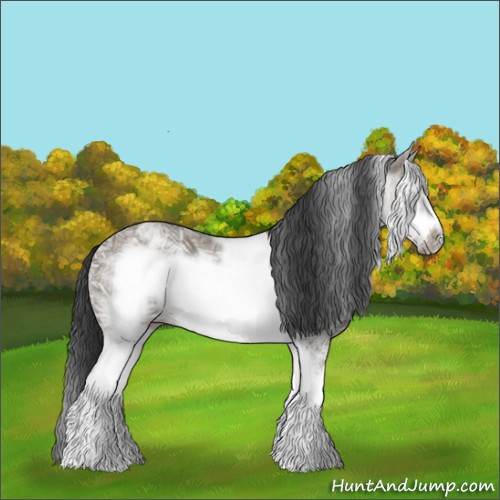 Horse Color:White Spotted Grullo Ice Frame 