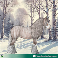 Horse Color:Silver Brown Ice Roan Splash 
