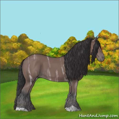 Horse Color:Bay Ice 