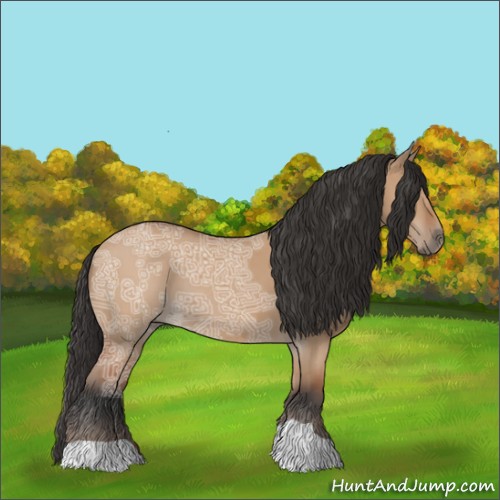 Horse Color:Bay Ice Dun 