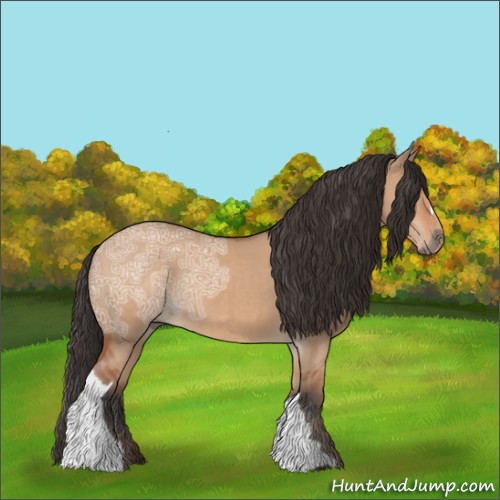 Horse Color:Bay Ice Dun 