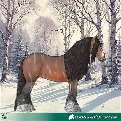 Horse Color:Bay Ice 