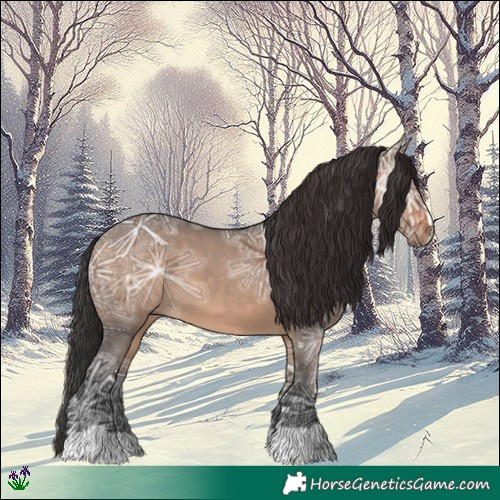 Horse Color:Brown Ice Dun 